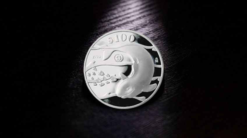 ¿Cómo es la rara moneda de plata con una vaquita marina por la que exigen casi 3 mil pesos?