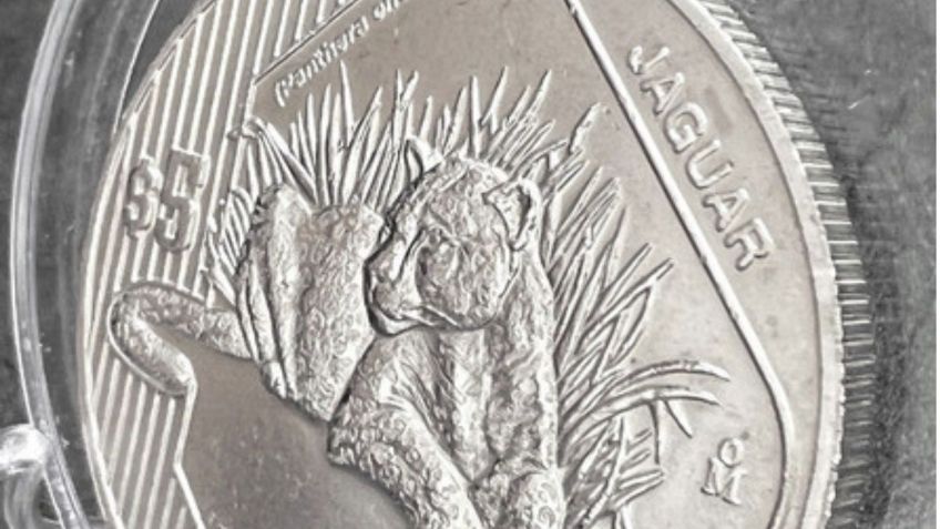 ¿Cuánto vale en internet la rara onza de PLATA con un jaguar? | Características