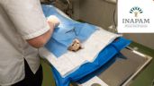 INAPAM da descuentos en VETERINARIOS con credencial vigente | Lista completa