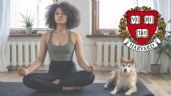 7 RAZONES por las que el YOGA es el mejor ejercicio según la Universidad de Harvard