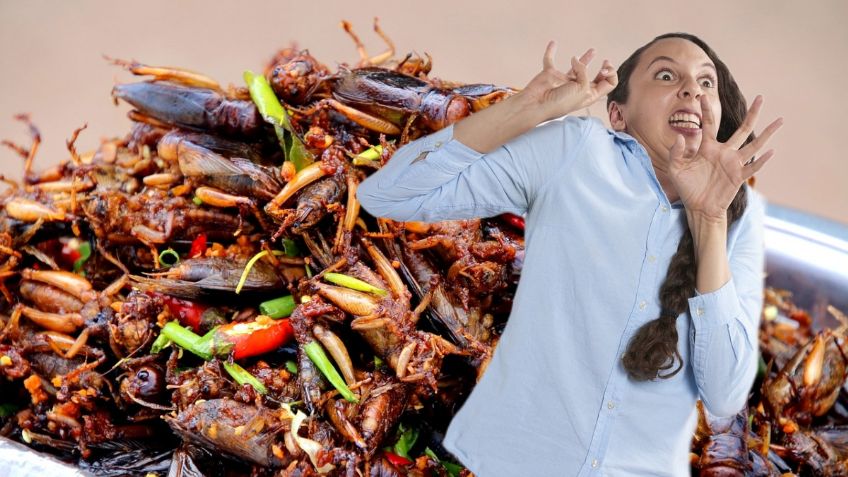 ¿Plaga de cucarachas en casa? 6 SEÑALES que lo confirman | ¿Qué hacer al respecto?