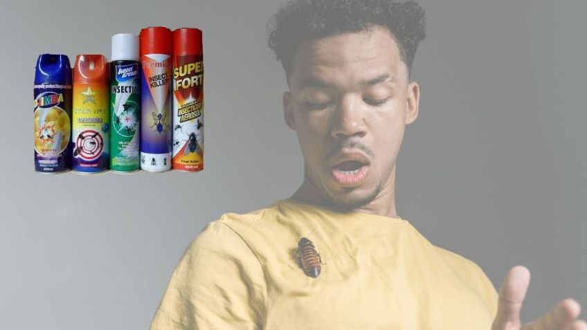 Los 3 INSECTICIDAS baratos que eliminarán a las cucarachas de tu hogar para siempre