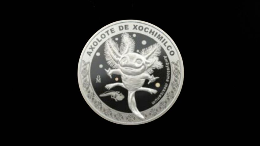 ¿Cuánto cuesta la ESPECTACULAR moneda conmemorativa del Ajolote? Aquí puedes comprarla