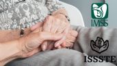 Pensión IMSS e ISSSTE: cuándo se deposita el pago adelantado de septiembre
