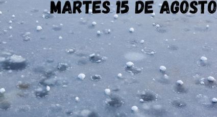 Onda Tropical y Monzón Mexicano: 15 estados con LLUVIAS FUERTES hoy martes 15 de agosto