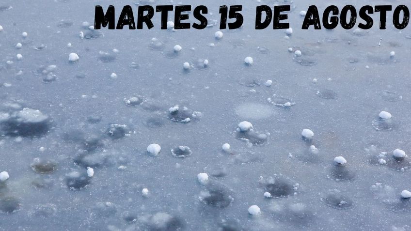 Onda Tropical y Monzón Mexicano: 15 estados con LLUVIAS FUERTES hoy martes 15 de agosto