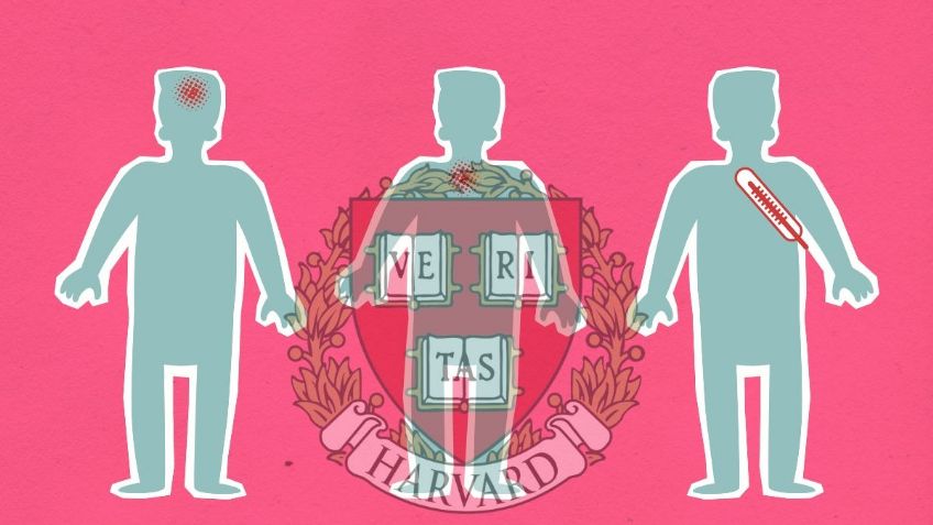 7 consejos de la Universidad de Harvard para combatir la inflamación crónica