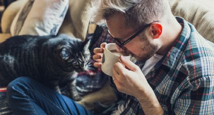 Esta es la mejor hora para tomar café de acuerdo con la Universidad de Harvard