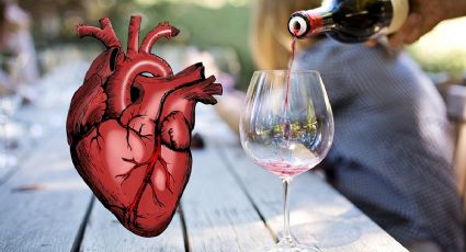 Universidad de Harvard revela si beber vino es bueno para el corazón o no