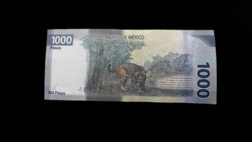 Conoce el billete de 1000 pesos por el que exigen 50 mil pesos en internet