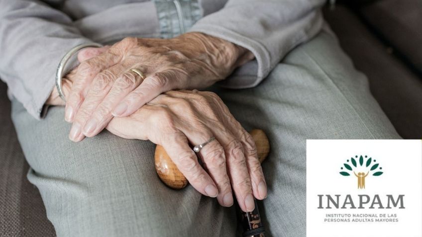 Credencial INAPAM da DESCUENTO de hasta 70% a adultos mayores con estos PSICÓLOGOS