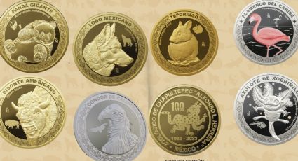 ¿En cuánto se vende la colección de monedas de Chapultepec en internet? | Precios