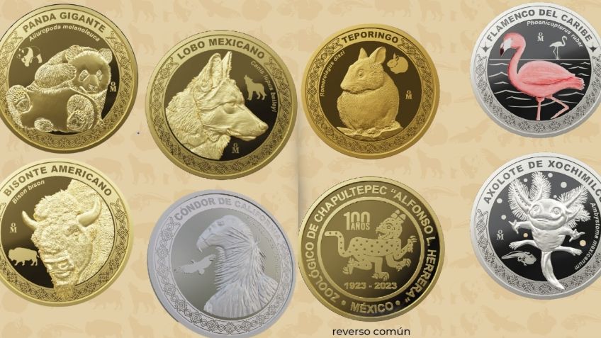 ¿En cuánto se vende la colección de monedas de Chapultepec en internet? | Precios