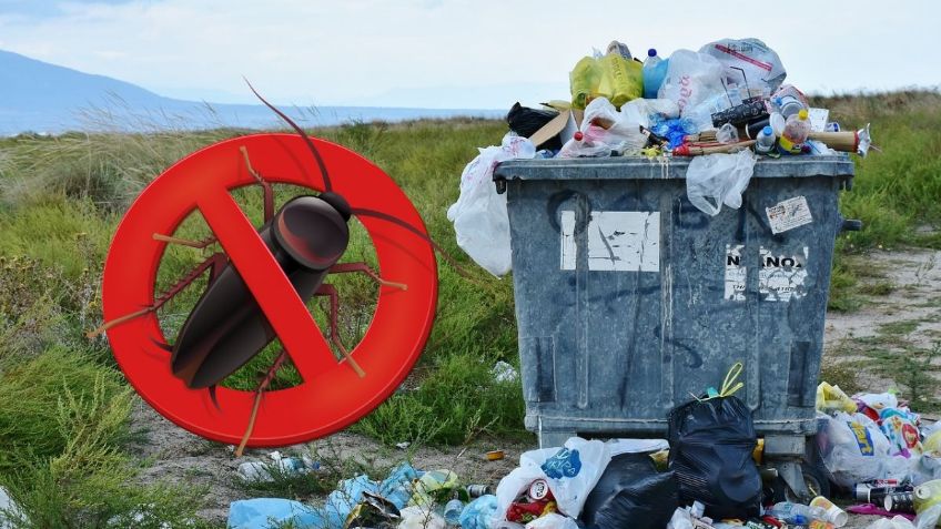 ChatGPT revela 5 sencillos MÉTODOS para evitar las CUCARACHAS en la basura | AI