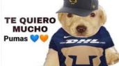 Liga MX: Los MEMES no perdonan la cruel derrota de los Tigres ante Pumas y se burlan de los regios
