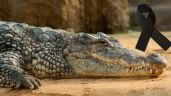 ¿Quién era el futbolista que falleció tras el ataque de un cocodrilo?