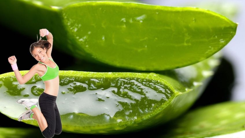 Estos son los principales beneficios de tomar ALOE VERA en ayunas