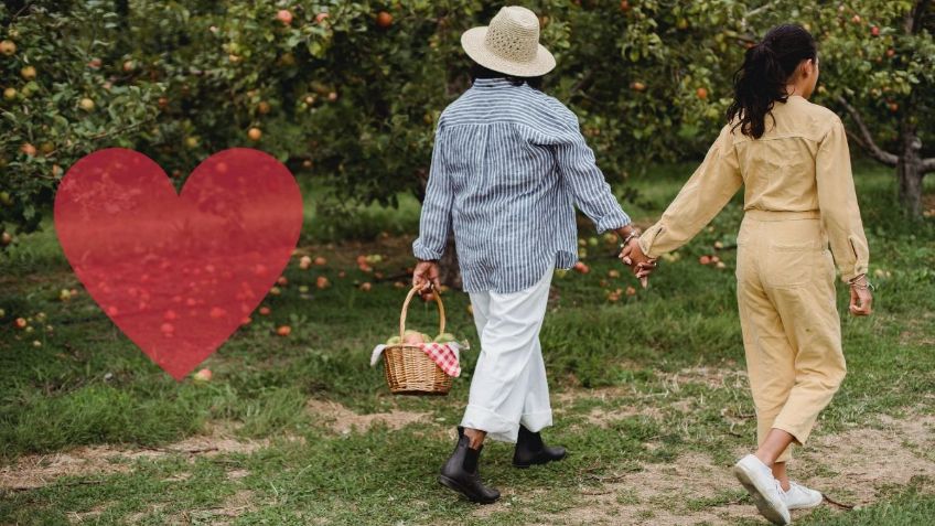 ¿Cuántos PASOS al DÍA debes caminar para disminuir el riesgo de morir prematuramente?