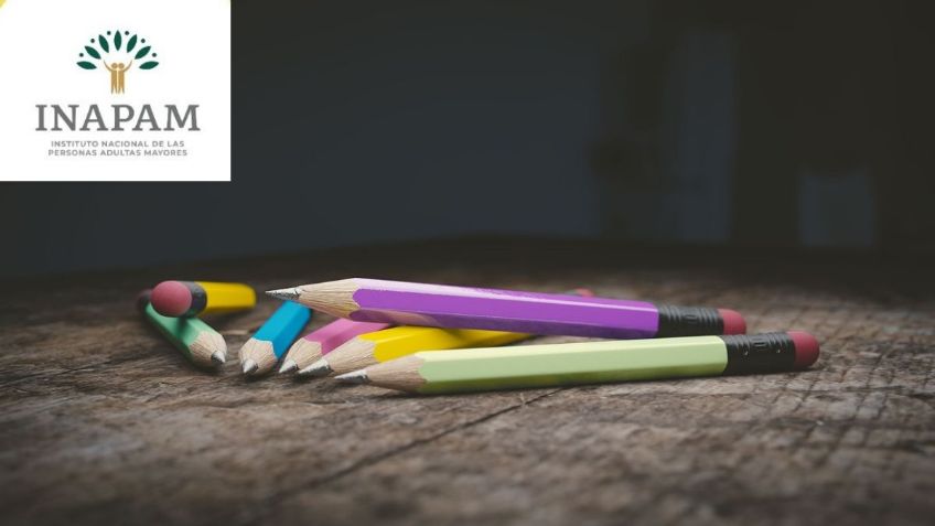 PAPELERÍAS que dan hasta 50% de descuento a personas con credencial INAPAM para el regreso a clases