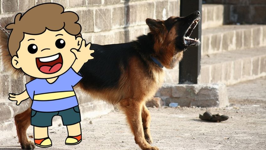 VIDEO: Pastor alemán salva a niño de ser ATACADO por otro perro tras descuido de su dueño