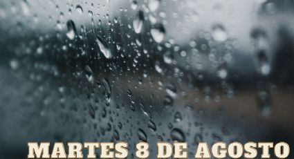 Onda Tropical 20 dejará LLUVIAS FUERTES en 11 ESTADOS hoy martes 8 de agosto | Recomendaciones