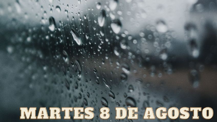 Onda Tropical 20 dejará LLUVIAS FUERTES en 11 ESTADOS hoy martes 8 de agosto | Recomendaciones