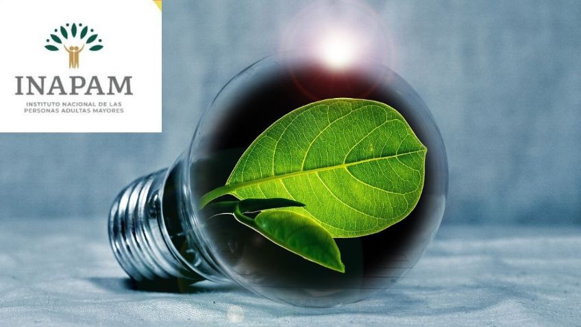 Checa las tiendas naturistas con DESCUENTO para adultos mayores del INAPAM