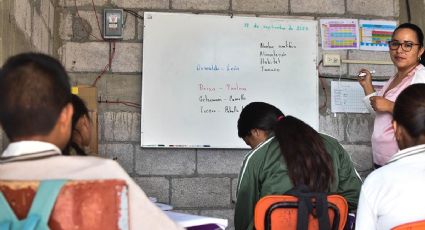 SEP: ¿Cuál es el ESTADO que SUSPENDIÓ CLASES debido a un paro de maestros?