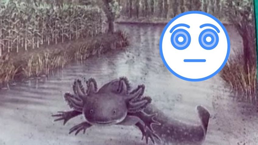 ¡Por un ERROR DE IMPRESIÓN! Este es el billete de 50 pesos que se vende en 35 mil pesos