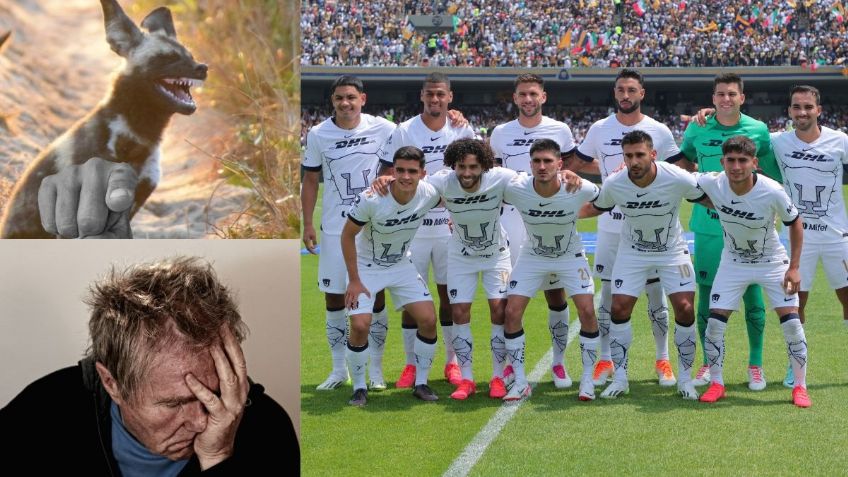 Los MEMES alaban a Pumas por dar la vuelta y vencer a San Luis; Chino Huerta, el MVP del juego