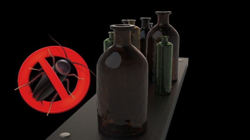 ¿Cómo utilizar el ALCOHOL para ELIMINAR a las cucarachas? | Recomendaciones