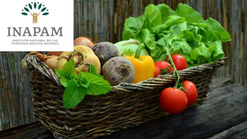 Checa las RECAUDERÍAS que dan DESCUENTO a adultos mayores | Credencial INAPAM