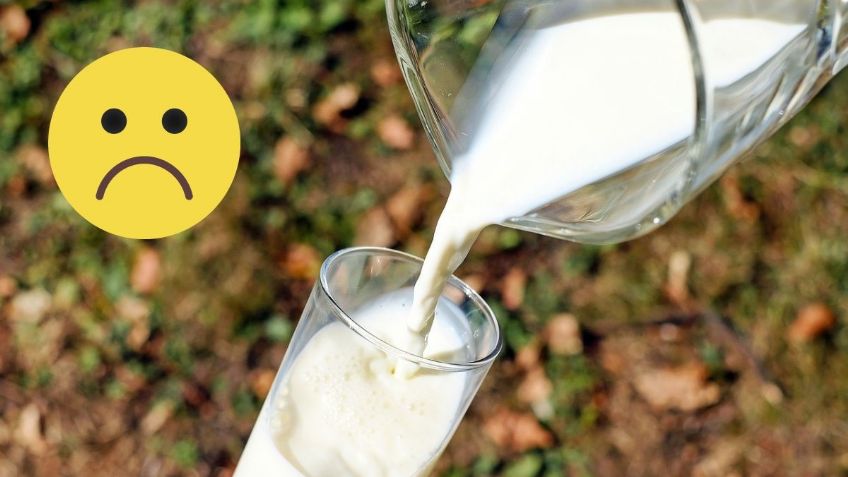 ¿Cuáles son las CONSECUENCIAS de tomar LECHE todos los días?