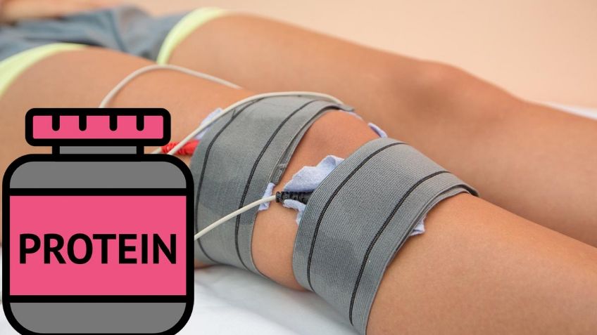 Este es la PROTEÍNA que ayuda a la regeneración del cartílago de las RODILLAS