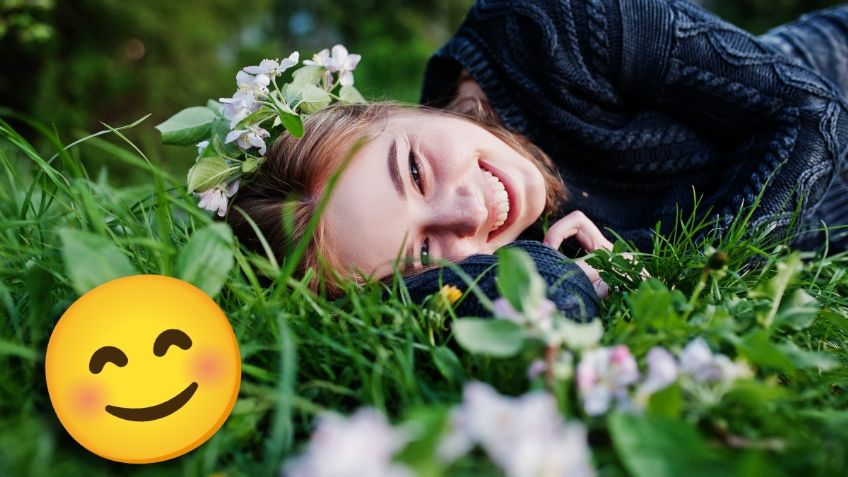 Harvard recomienda esta planta aromática para mejorar el estado de ánimo | Recomendaciones