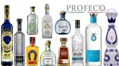 Profeco revela la mejor marca de TEQUILA en México | Revista del consumidor