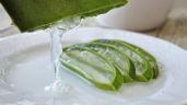 ¿Cómo utilizar el ALOE VERA para mejorar la circulación y reducir el COLESTEROL? | Receta
