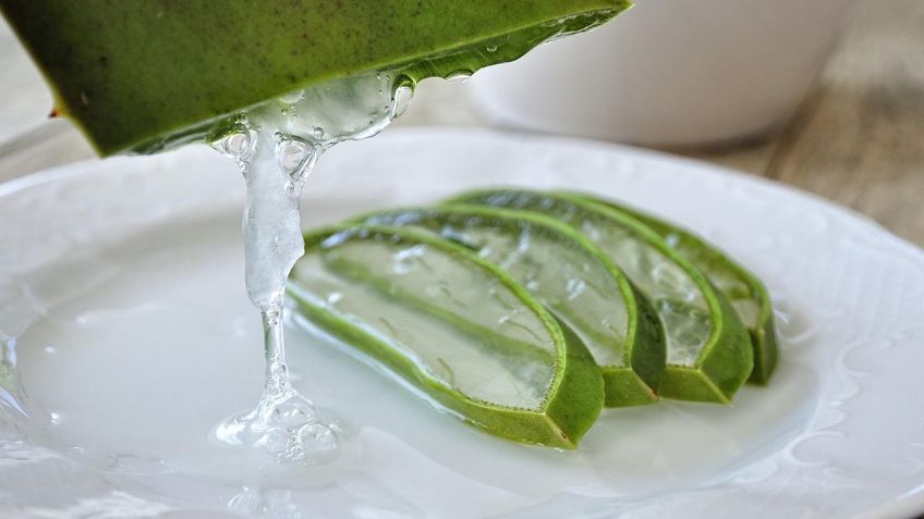 ¿Cómo utilizar el ALOE VERA para mejorar la circulación y reducir el COLESTEROL? | Receta