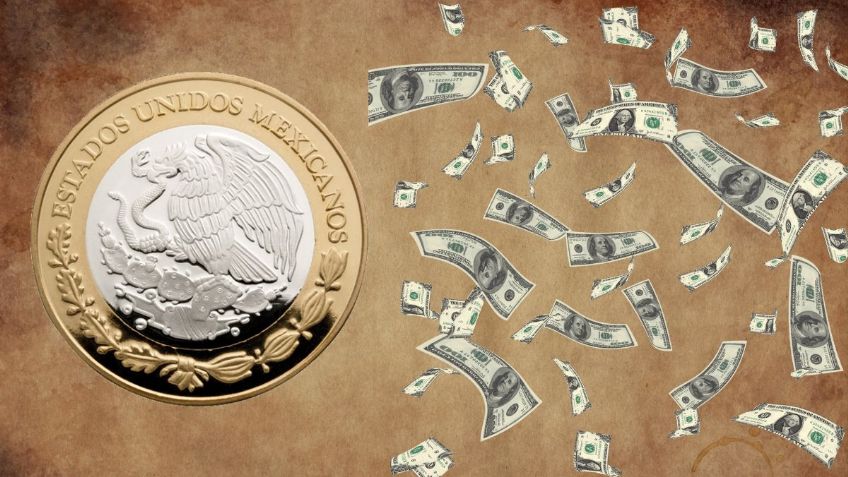 Requisitos que debe tener una moneda para venderse a precios elevados en internet