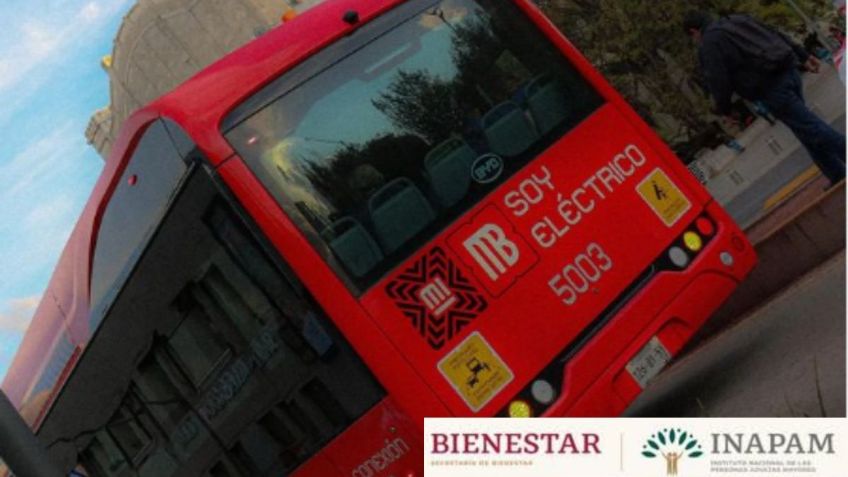 Los 8 estados con descuento en transporte público para adultos con Credencial INAPAM