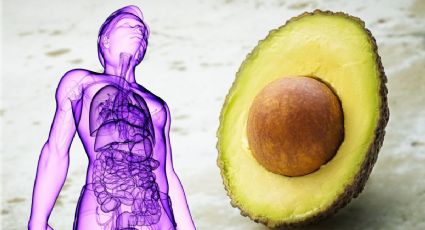 ¿Comes aguacate todos los días? Esto es lo que podría pasar con tu cuerpo