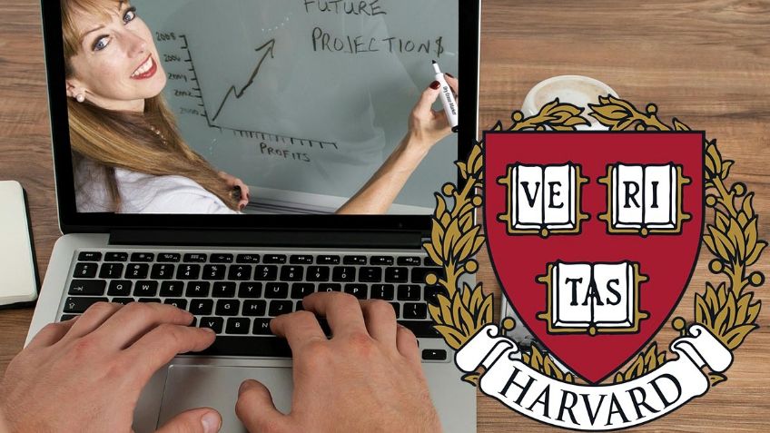 Aprende nuevas cosas en Año Nuevo con los cursos gratis de Harvard