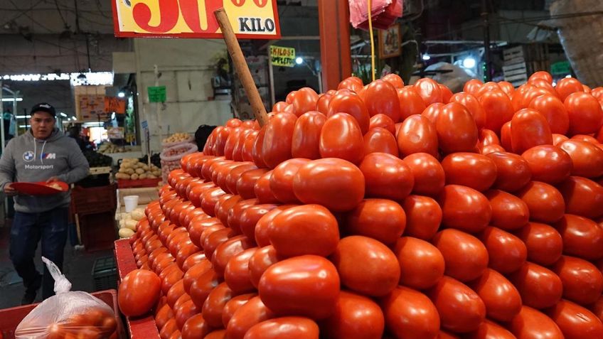 ¡70 pesos el kilo! Profeco revela las razones del alto precio del jitomate en el centro de México