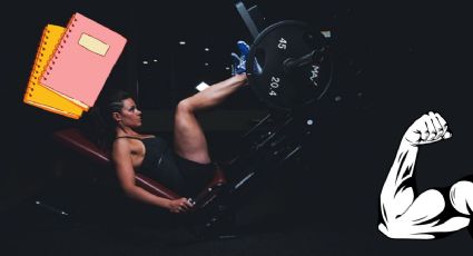 ¿Qué es la rutina push pull legs y para qué sirve?