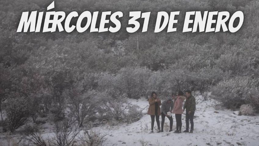 Lista de estados con NIEVE y HELADAS por el Frente Frío 31 | Miércoles 31 de enero