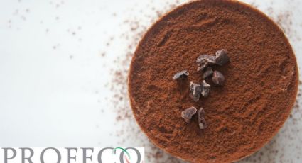 Profeco revela las mejores marcas de chocolate que hay en el mercado