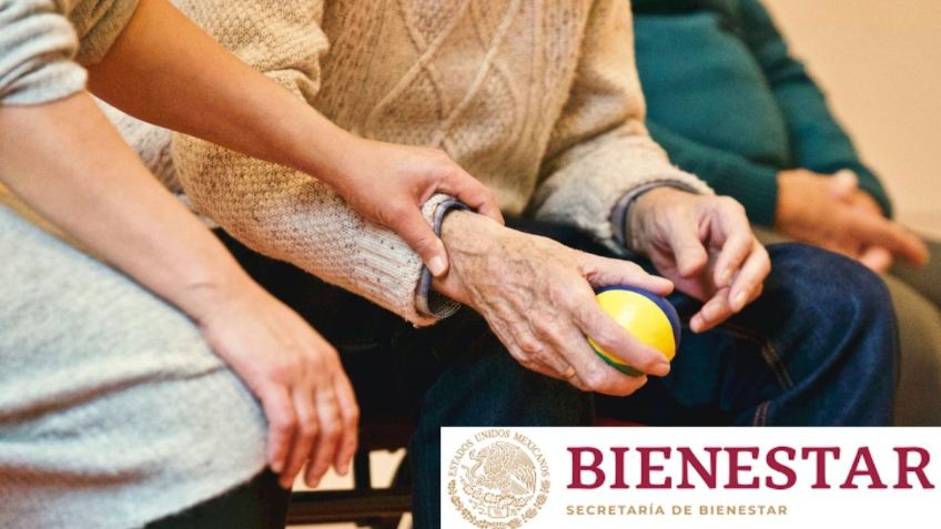 Los mejores descuentos de la Credencial INAPAM para enero del 2024