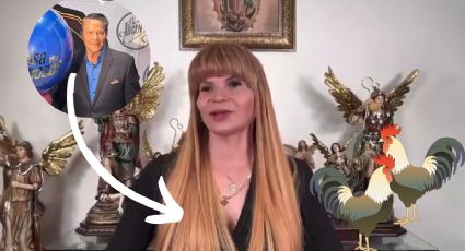 Mhoni Vidente revela a sus 'gallos' para La Casa de los Famosos 2024 | VIDEO