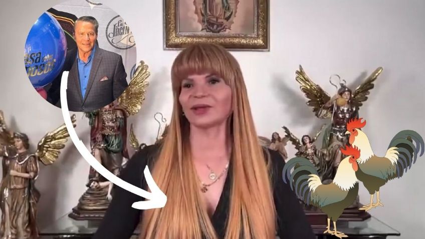 Mhoni Vidente revela a sus 'gallos' para La Casa de los Famosos 2024 | VIDEO
