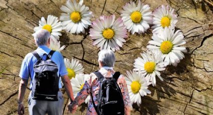 Checa las FLORERÍAS que dan DESCUENTO a adultos mayores para el Día de San Valentín